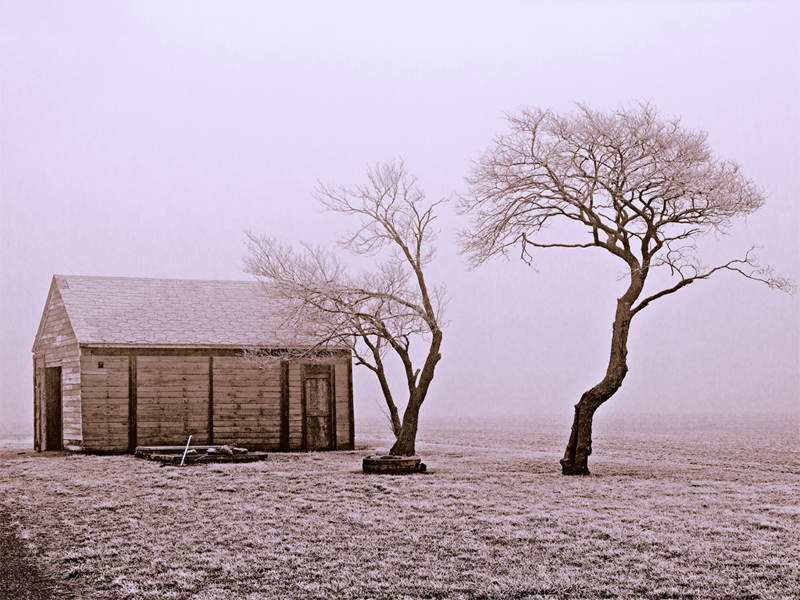 IMAGE: http://www.bimmermail.com/harvest/icy-fog01-sm.jpg
